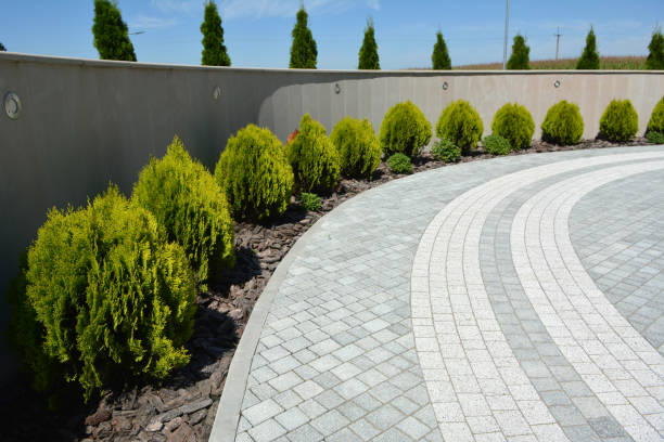 Best Commercial Driveway Pavers  in Paradise Hills, NM
